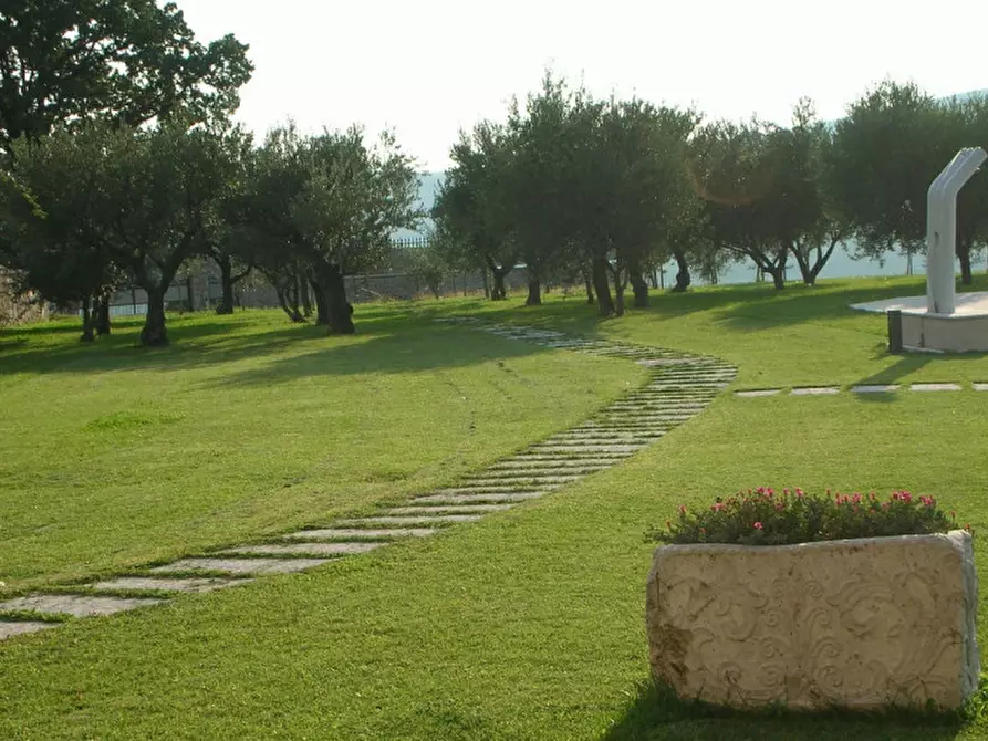 Immagine 6 di Terreno in vendita  a Tregnago