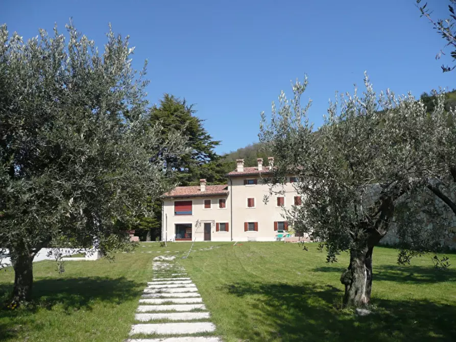 Immagine 9 di Terreno in vendita  a Tregnago