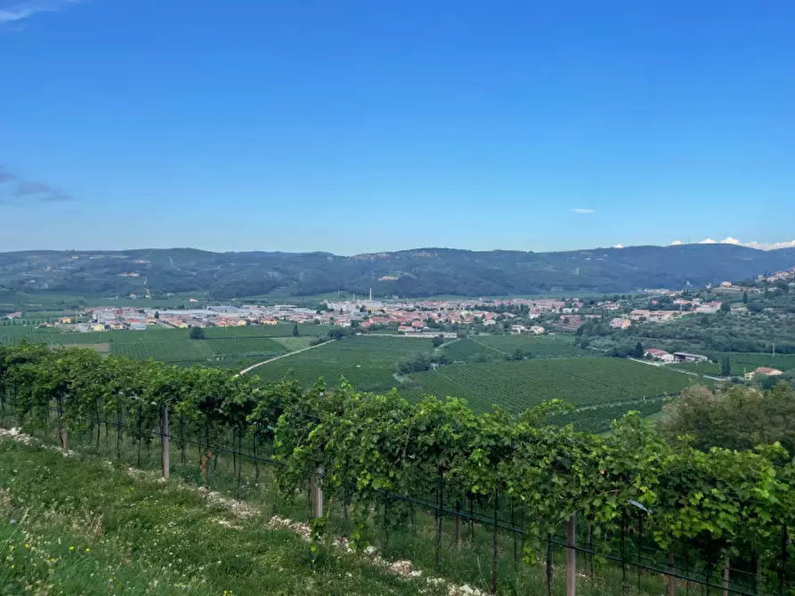 Immagine 14 di Terreno in vendita  a Tregnago