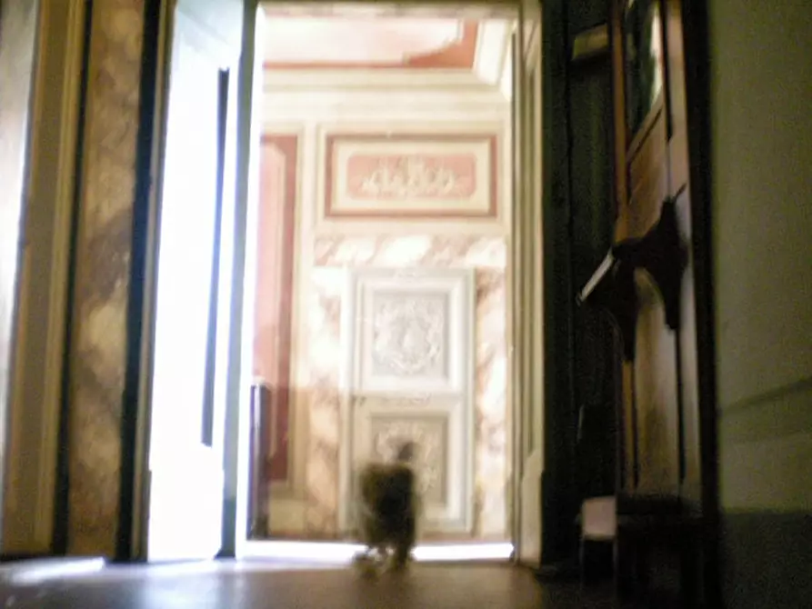 Immagine 64 di Villa in vendita  in certignano a Castelfranco Piandiscò