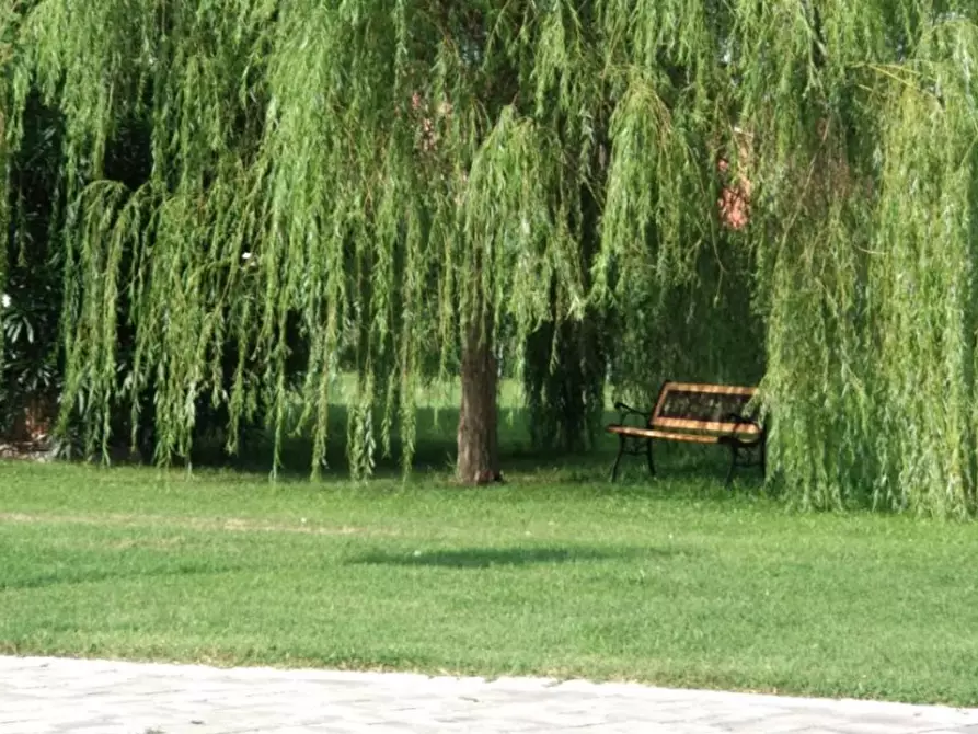 Immagine 19 di Bed & Breakfast in vendita  a Correzzola