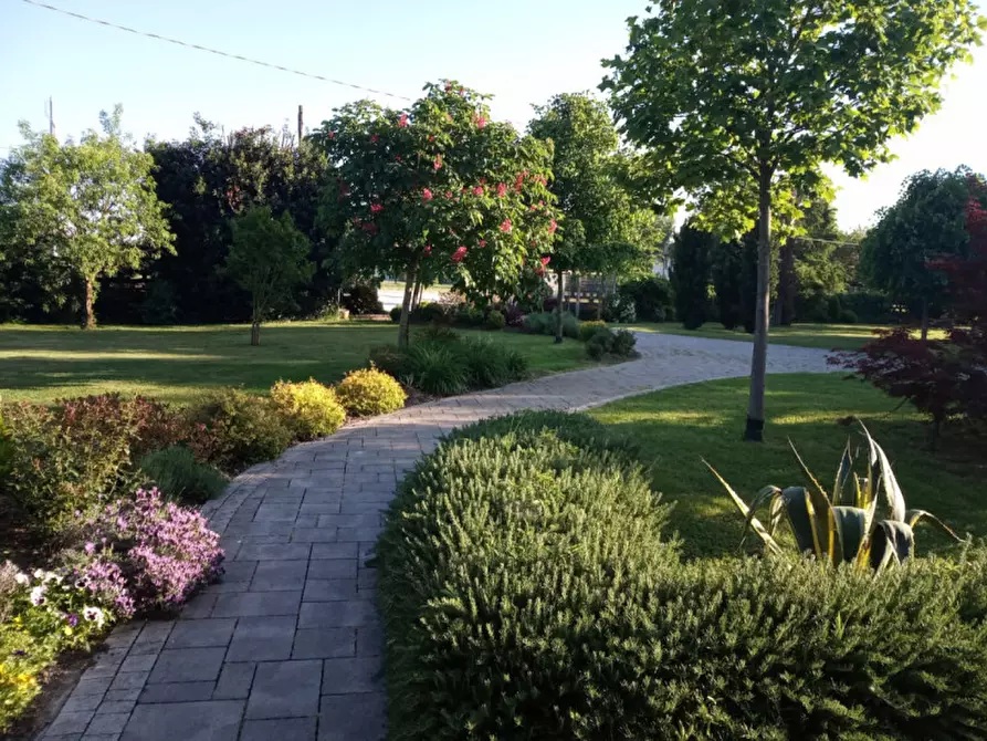 Immagine 27 di Bed & Breakfast in vendita  a Correzzola