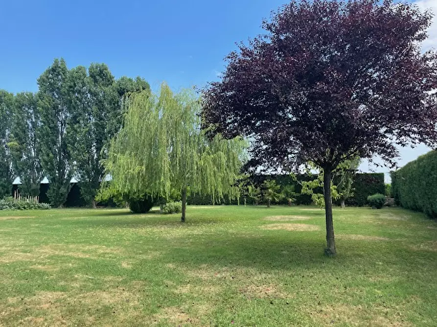 Immagine 29 di Bed & Breakfast in vendita  a Correzzola