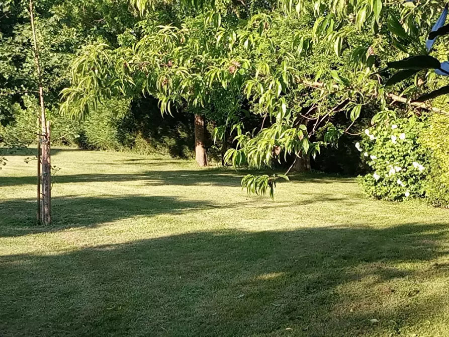 Immagine 37 di Bed & Breakfast in vendita  a Correzzola