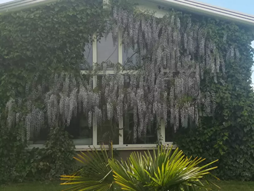 Immagine 39 di Bed & Breakfast in vendita  a Correzzola