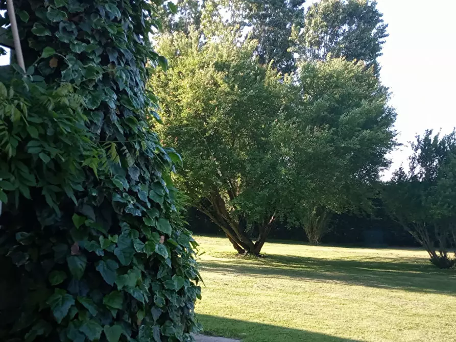 Immagine 40 di Bed & Breakfast in vendita  a Correzzola