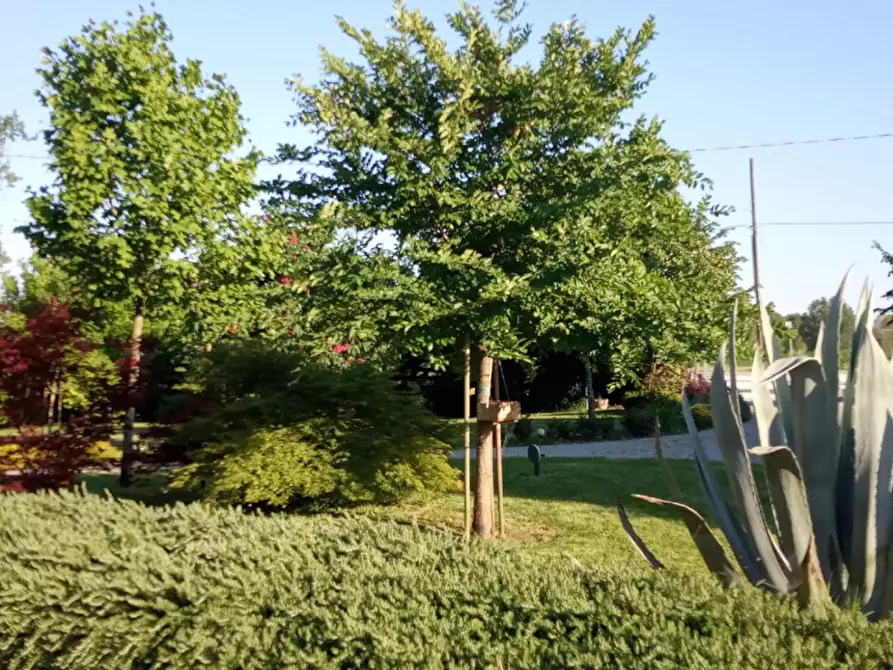 Immagine 41 di Bed & Breakfast in vendita  a Correzzola