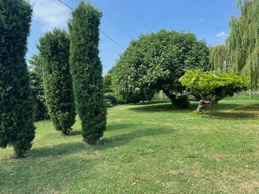 Immagine 44 di Bed & Breakfast in vendita  a Correzzola