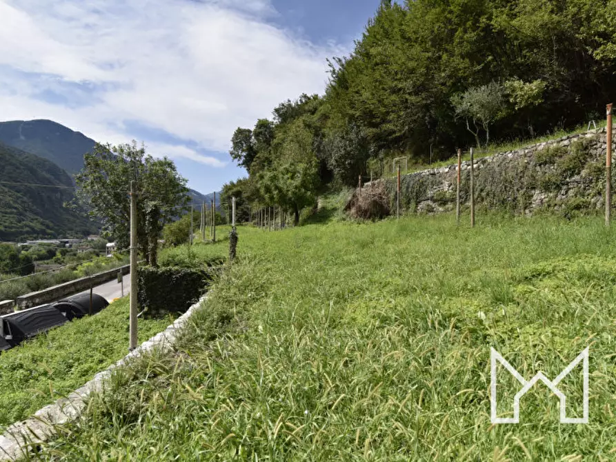 Immagine 18 di Rustico / casale in vendita  a Valbrenta