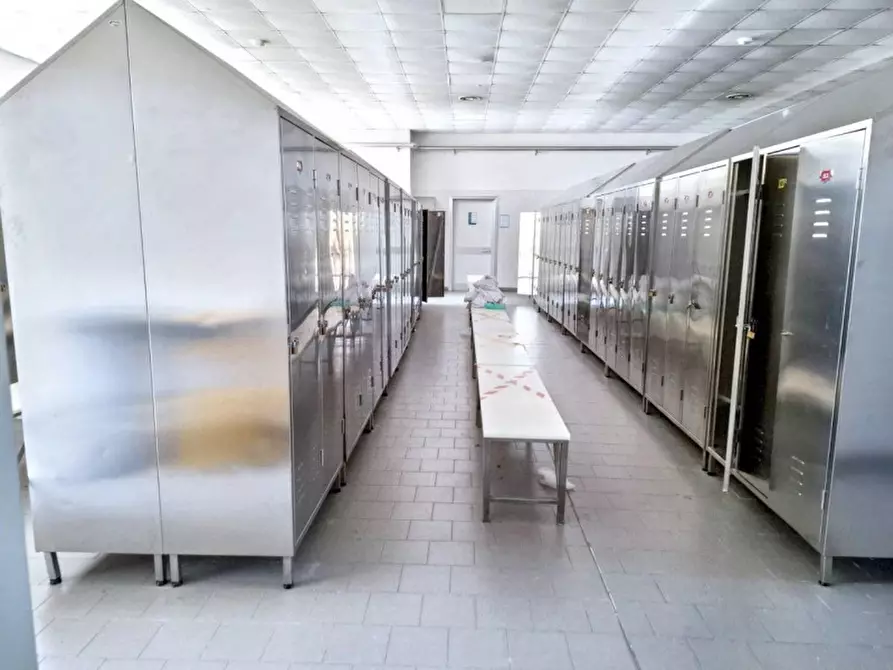 Immagine 5 di Capannone industriale in vendita  in Via Bagnarolo, Gadesco-Pieve Delmona CR, Italia a Vescovato