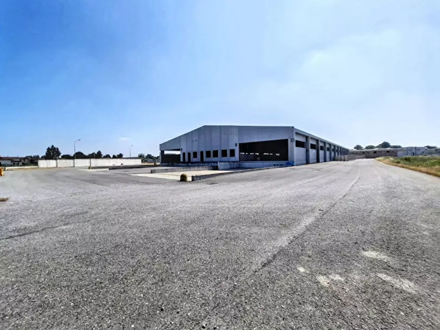 Immagine 6 di Capannone industriale in vendita  in Via Bagnarolo, Gadesco-Pieve Delmona CR, Italia a Vescovato