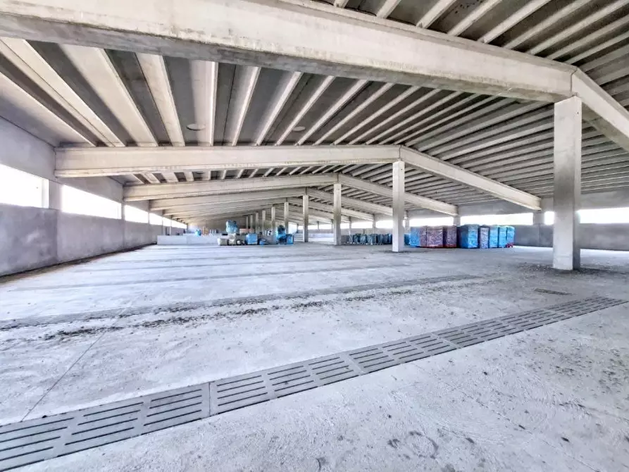 Immagine 7 di Capannone industriale in vendita  in Via Bagnarolo, Gadesco-Pieve Delmona CR, Italia a Vescovato