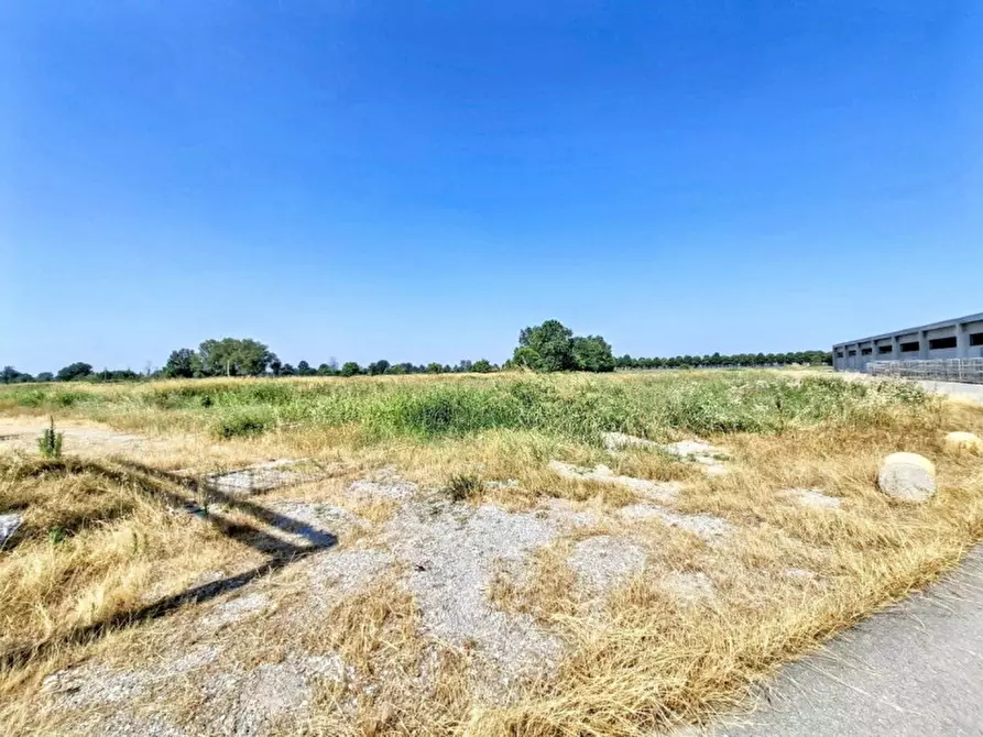 Immagine 8 di Capannone industriale in vendita  in Via Bagnarolo, Gadesco-Pieve Delmona CR, Italia a Vescovato