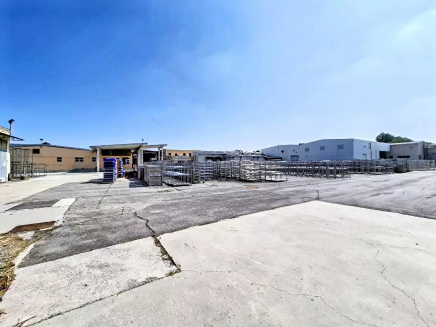 Immagine 9 di Capannone industriale in vendita  in Via Bagnarolo, Gadesco-Pieve Delmona CR, Italia a Vescovato