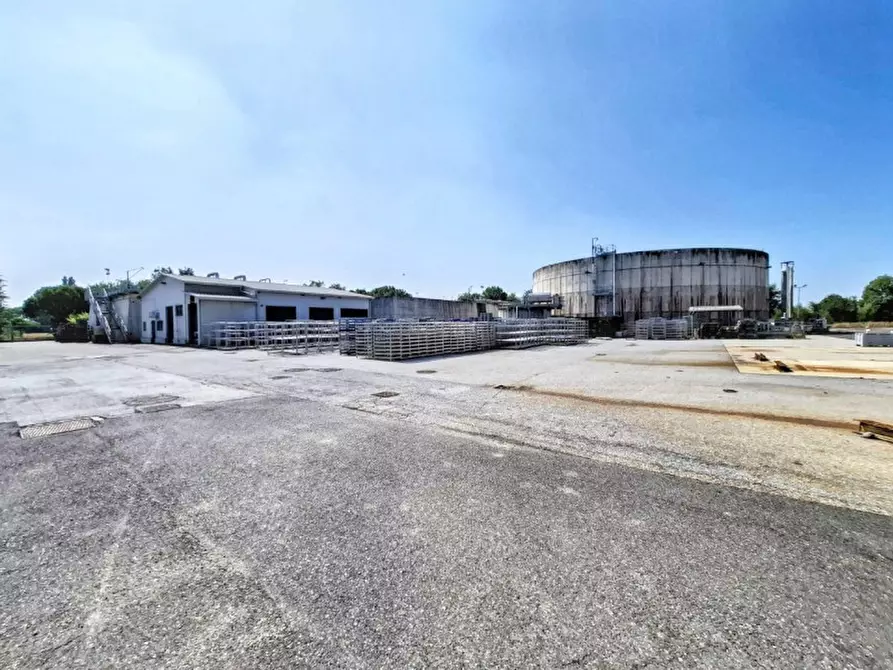 Immagine 14 di Capannone industriale in vendita  in Via Bagnarolo, Gadesco-Pieve Delmona CR, Italia a Vescovato