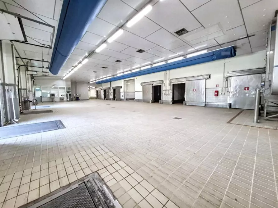 Immagine 23 di Capannone industriale in vendita  in Via Bagnarolo, Gadesco-Pieve Delmona CR, Italia a Vescovato