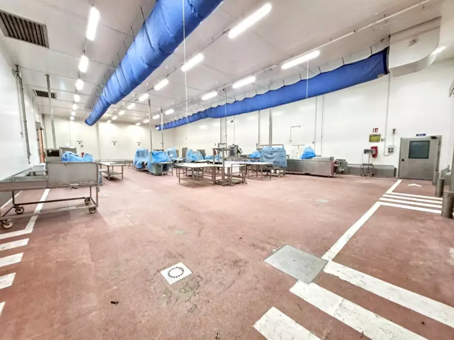 Immagine 25 di Capannone industriale in vendita  in Via Bagnarolo, Gadesco-Pieve Delmona CR, Italia a Vescovato