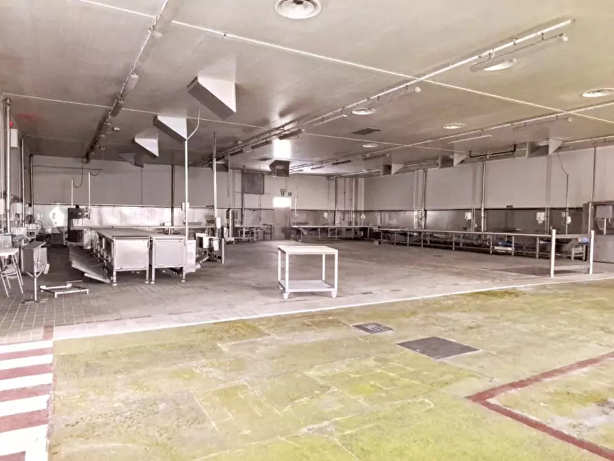 Immagine 26 di Capannone industriale in vendita  in Via Bagnarolo, Gadesco-Pieve Delmona CR, Italia a Vescovato