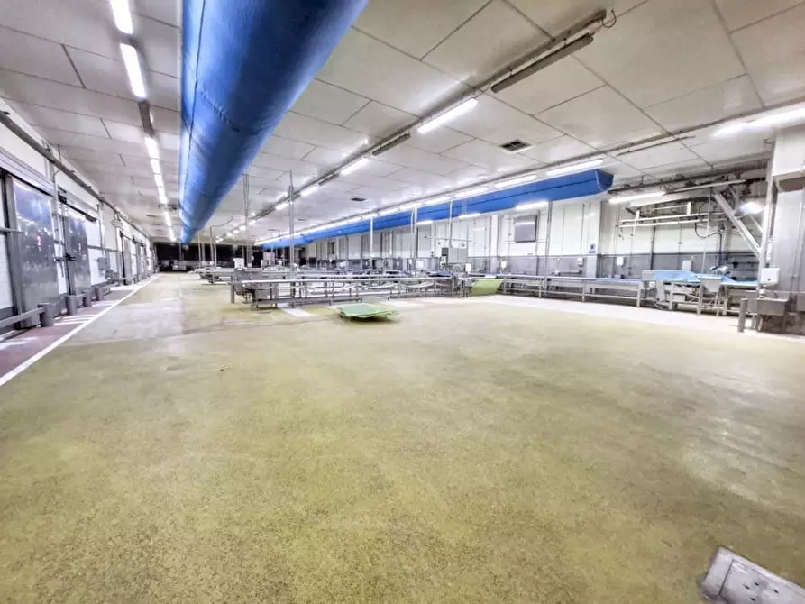 Immagine 27 di Capannone industriale in vendita  in Via Bagnarolo, Gadesco-Pieve Delmona CR, Italia a Vescovato