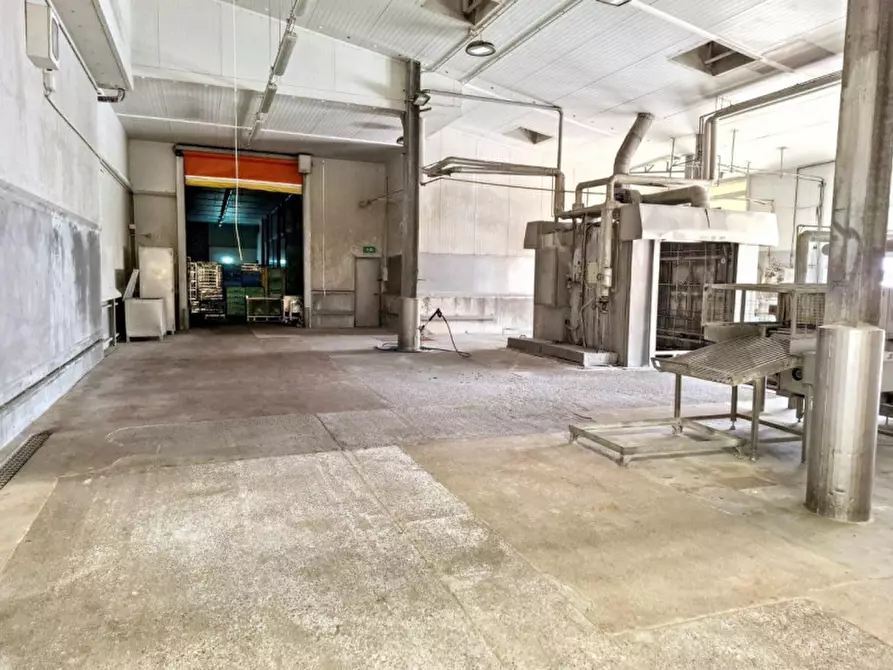Immagine 28 di Capannone industriale in vendita  in Via Bagnarolo, Gadesco-Pieve Delmona CR, Italia a Vescovato