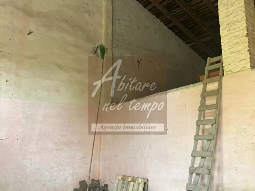 Immagine 9 di Rustico / casale in vendita  in VIA CARBOGNA 1 a San Giorgio In Bosco
