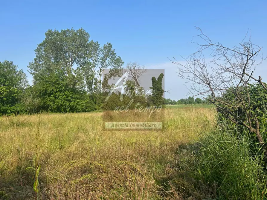 Immagine 12 di Rustico / casale in vendita  in VIA CARBOGNA 1 a San Giorgio In Bosco