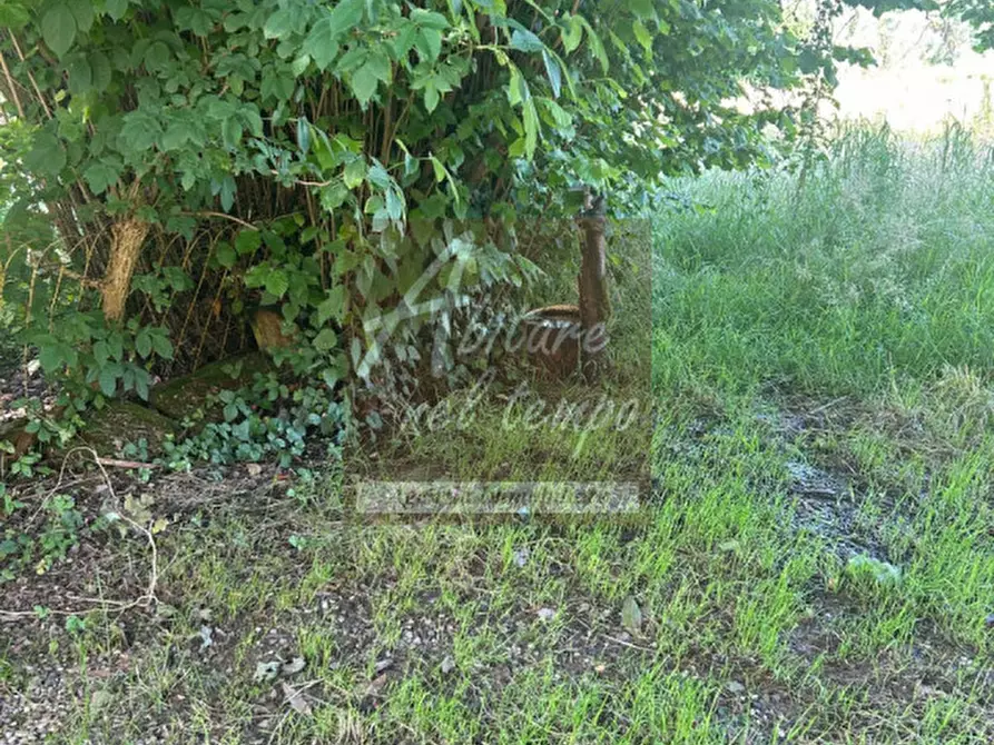 Immagine 14 di Rustico / casale in vendita  in VIA CARBOGNA 1 a San Giorgio In Bosco