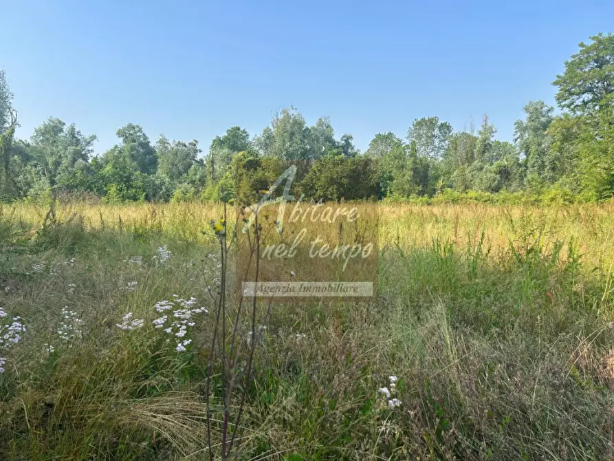 Immagine 17 di Rustico / casale in vendita  in VIA CARBOGNA 1 a San Giorgio In Bosco