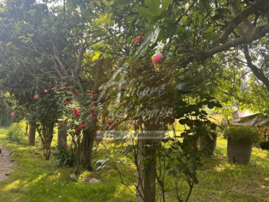 Immagine 22 di Rustico / casale in vendita  in VIA CARBOGNA 1 a San Giorgio In Bosco