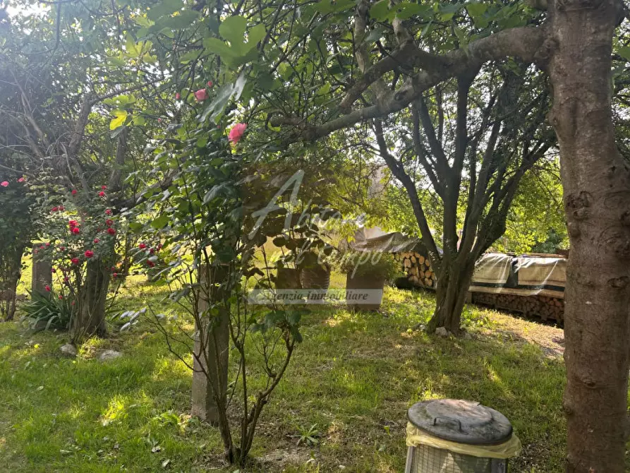 Immagine 23 di Rustico / casale in vendita  in VIA CARBOGNA 1 a San Giorgio In Bosco