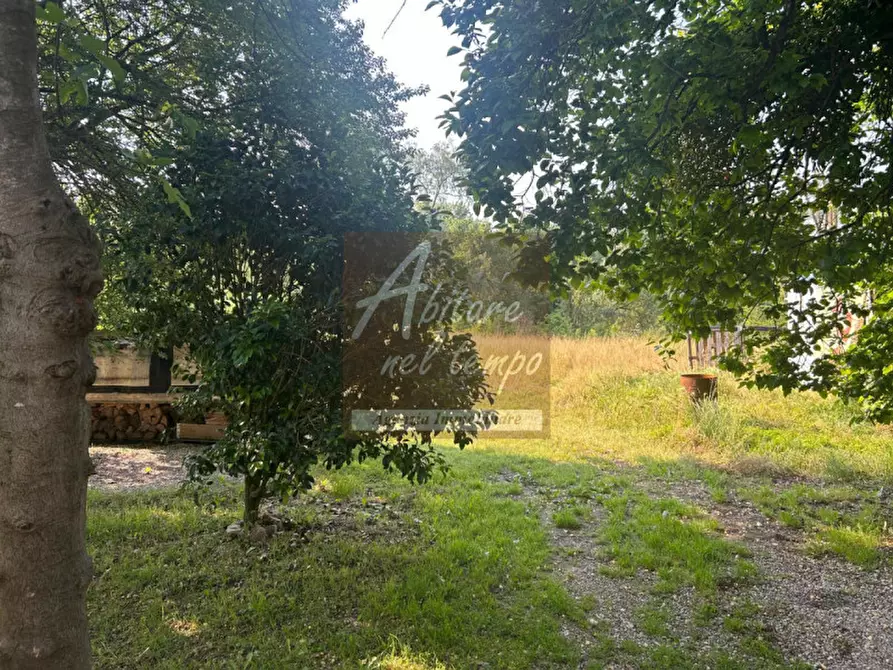 Immagine 24 di Rustico / casale in vendita  in VIA CARBOGNA 1 a San Giorgio In Bosco