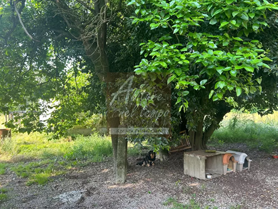 Immagine 25 di Rustico / casale in vendita  in VIA CARBOGNA 1 a San Giorgio In Bosco