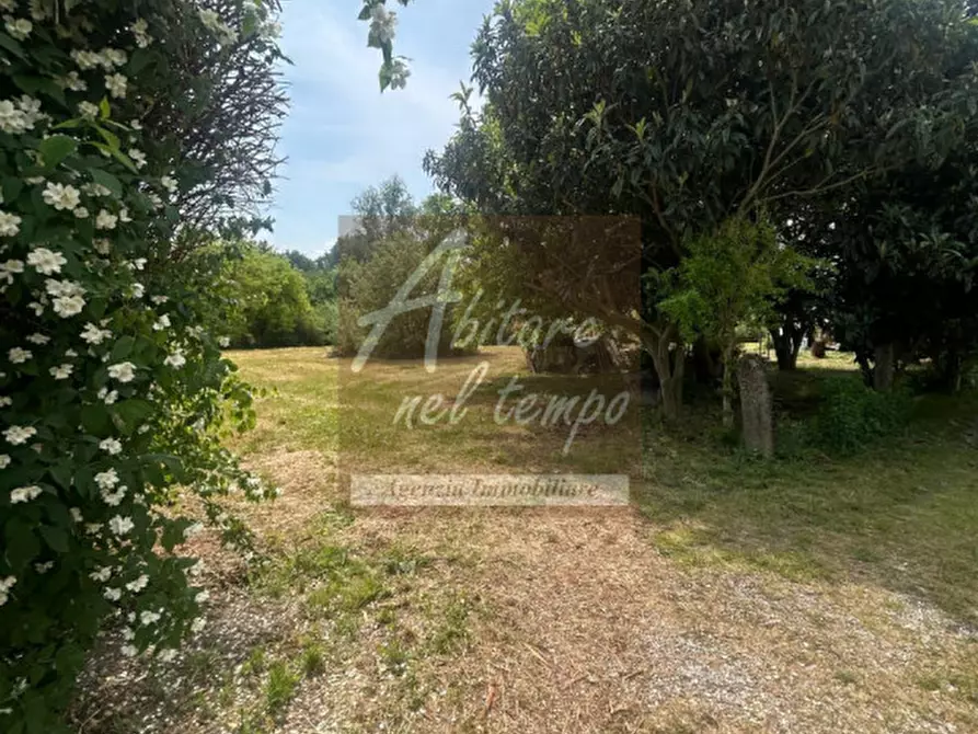 Immagine 31 di Rustico / casale in vendita  in VIA CARBOGNA 1 a San Giorgio In Bosco