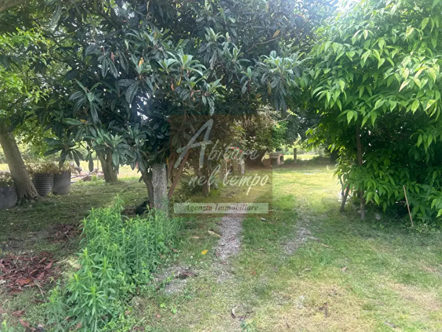 Immagine 33 di Rustico / casale in vendita  in VIA CARBOGNA 1 a San Giorgio In Bosco