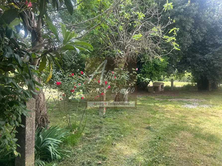 Immagine 34 di Rustico / casale in vendita  in VIA CARBOGNA 1 a San Giorgio In Bosco