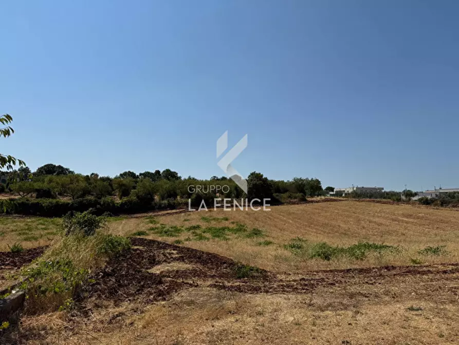 Immagine 2 di Terreno in vendita  in Strada Paretone a Martina Franca