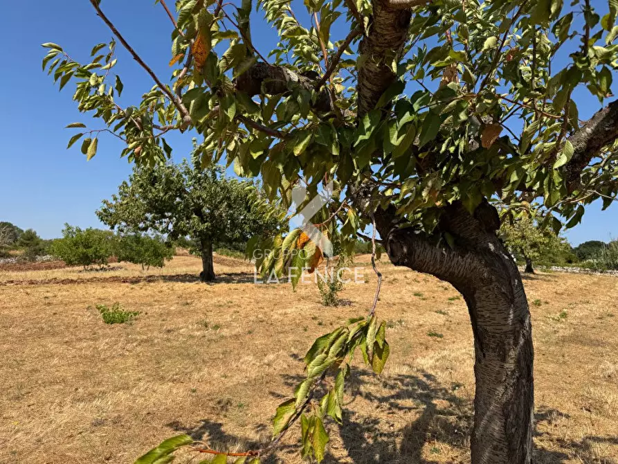 Immagine 3 di Terreno in vendita  in Strada Paretone a Martina Franca
