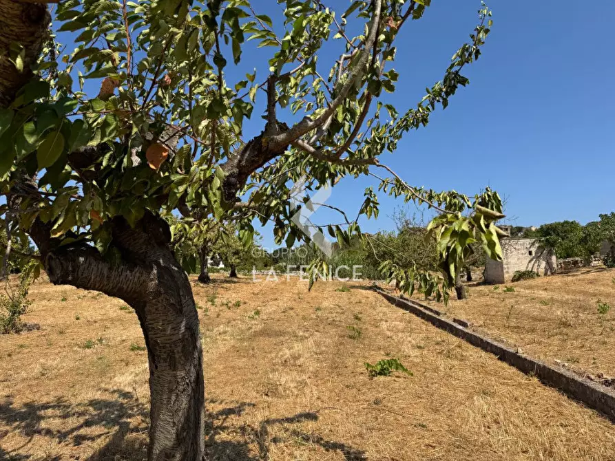 Immagine 4 di Terreno in vendita  in Strada Paretone a Martina Franca