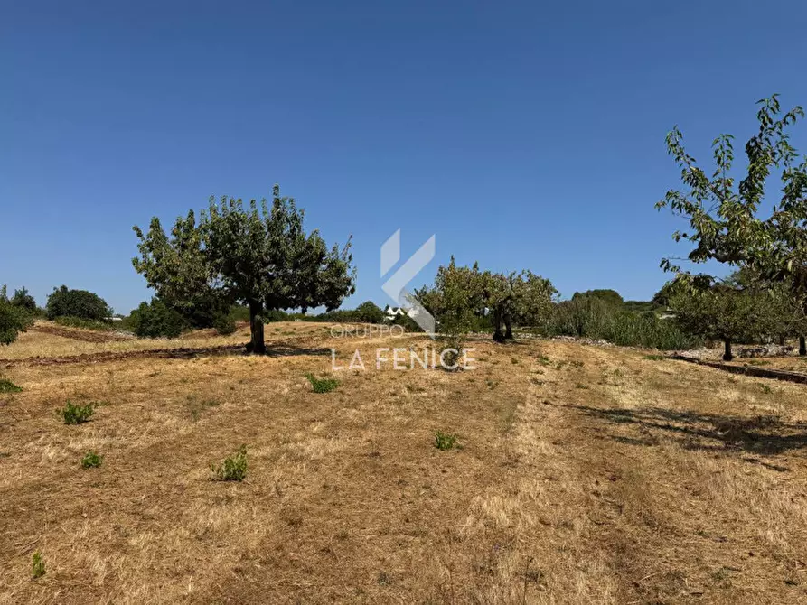 Immagine 5 di Terreno in vendita  in Strada Paretone a Martina Franca