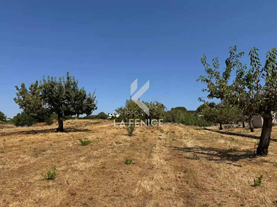 Immagine 6 di Terreno in vendita  in Strada Paretone a Martina Franca