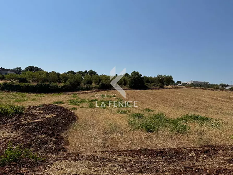 Immagine 7 di Terreno in vendita  in Strada Paretone a Martina Franca