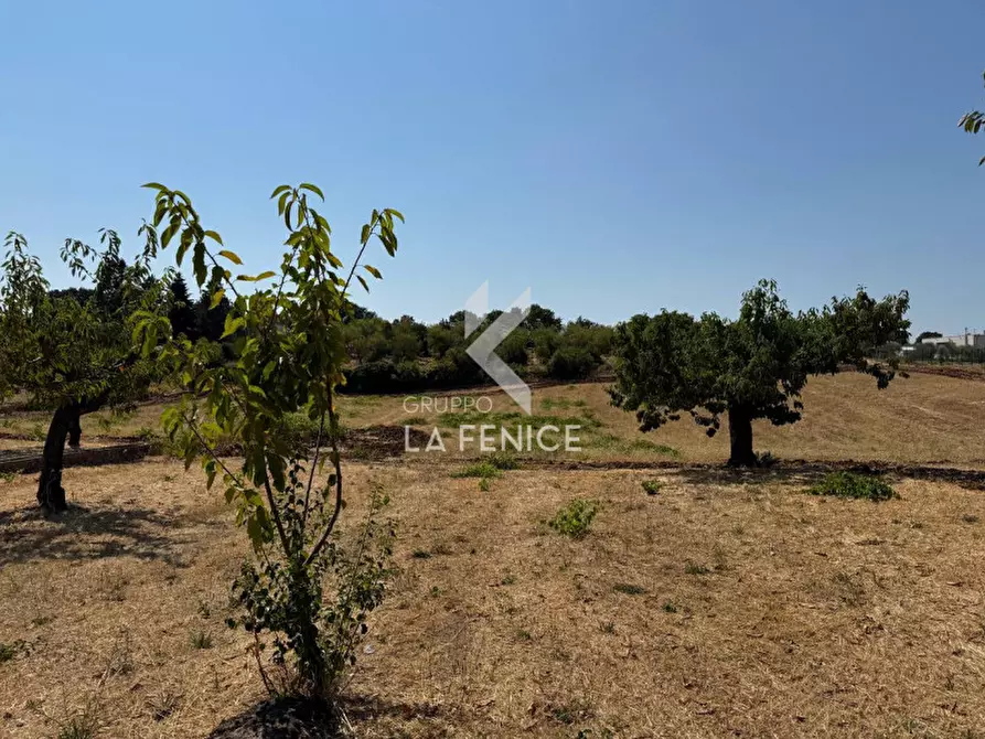 Immagine 8 di Terreno in vendita  in Strada Paretone a Martina Franca