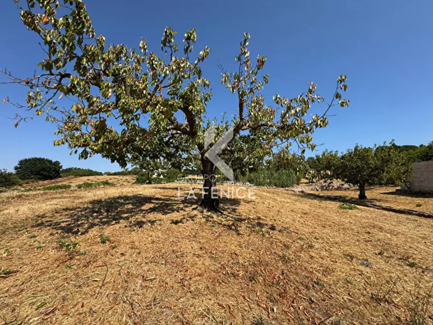 Immagine 9 di Terreno in vendita  in Strada Paretone a Martina Franca