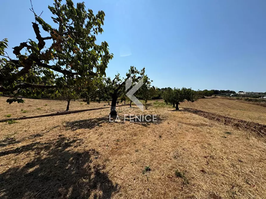 Immagine 10 di Terreno in vendita  in Strada Paretone a Martina Franca