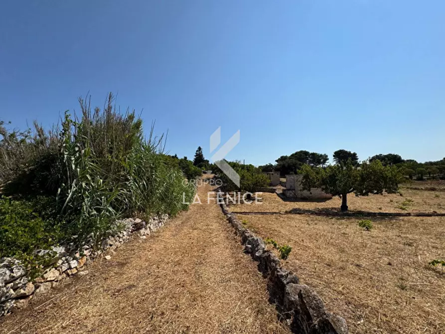 Immagine 11 di Terreno in vendita  in Strada Paretone a Martina Franca