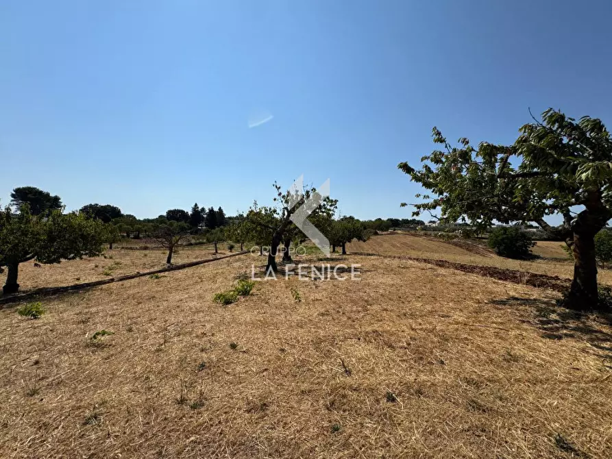 Immagine 12 di Terreno in vendita  in Strada Paretone a Martina Franca