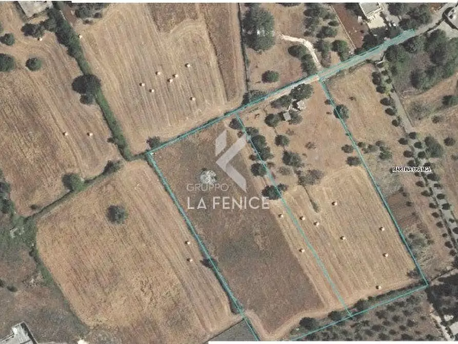 Immagine 13 di Terreno in vendita  in Strada Paretone a Martina Franca