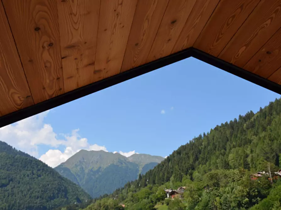 Immagine 25 di Appartamento in vendita  in Via Binelli, 3 a Pinzolo