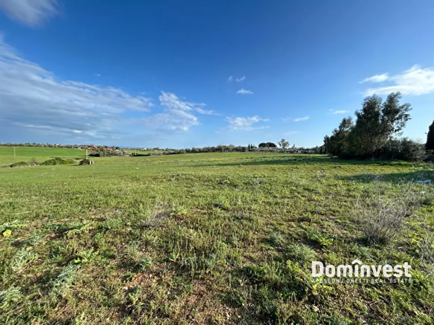 Immagine 2 di Terreno in vendita  in Strada Cacciata Grande a Montalto Di Castro
