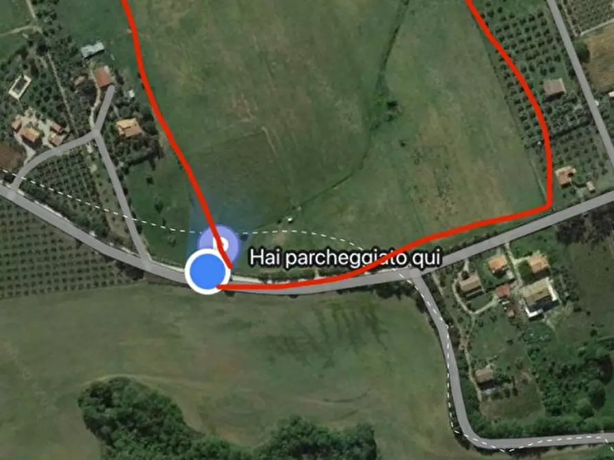 Immagine 4 di Terreno in vendita  in Strada Cacciata Grande a Montalto Di Castro